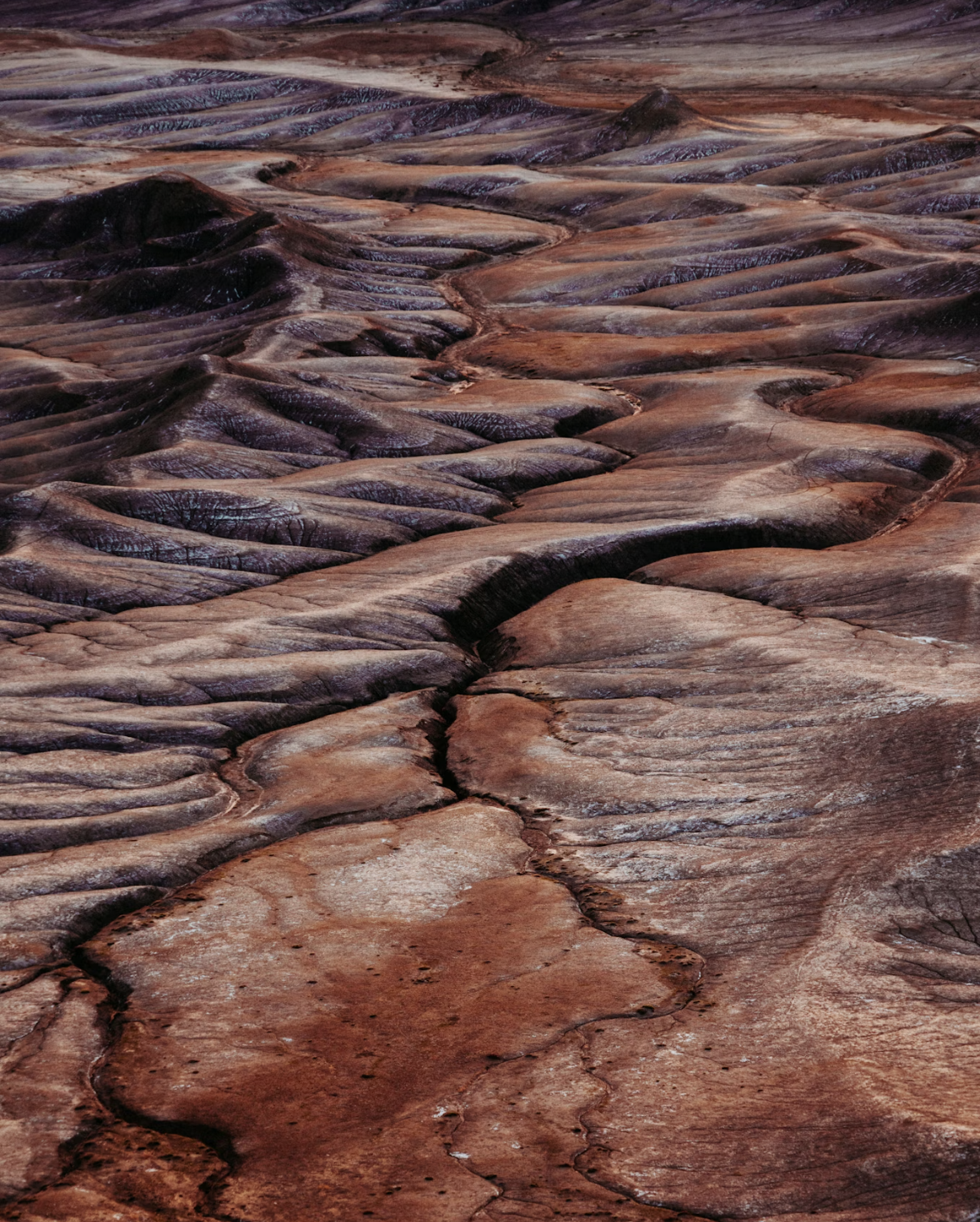 Collection Terre Brûlée