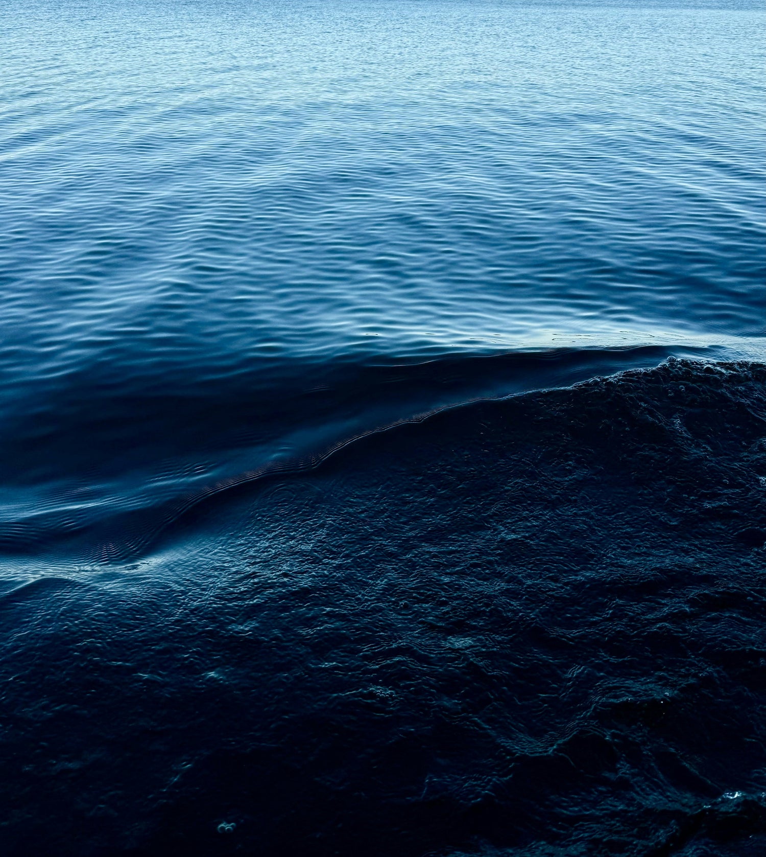 Collection Grand Large