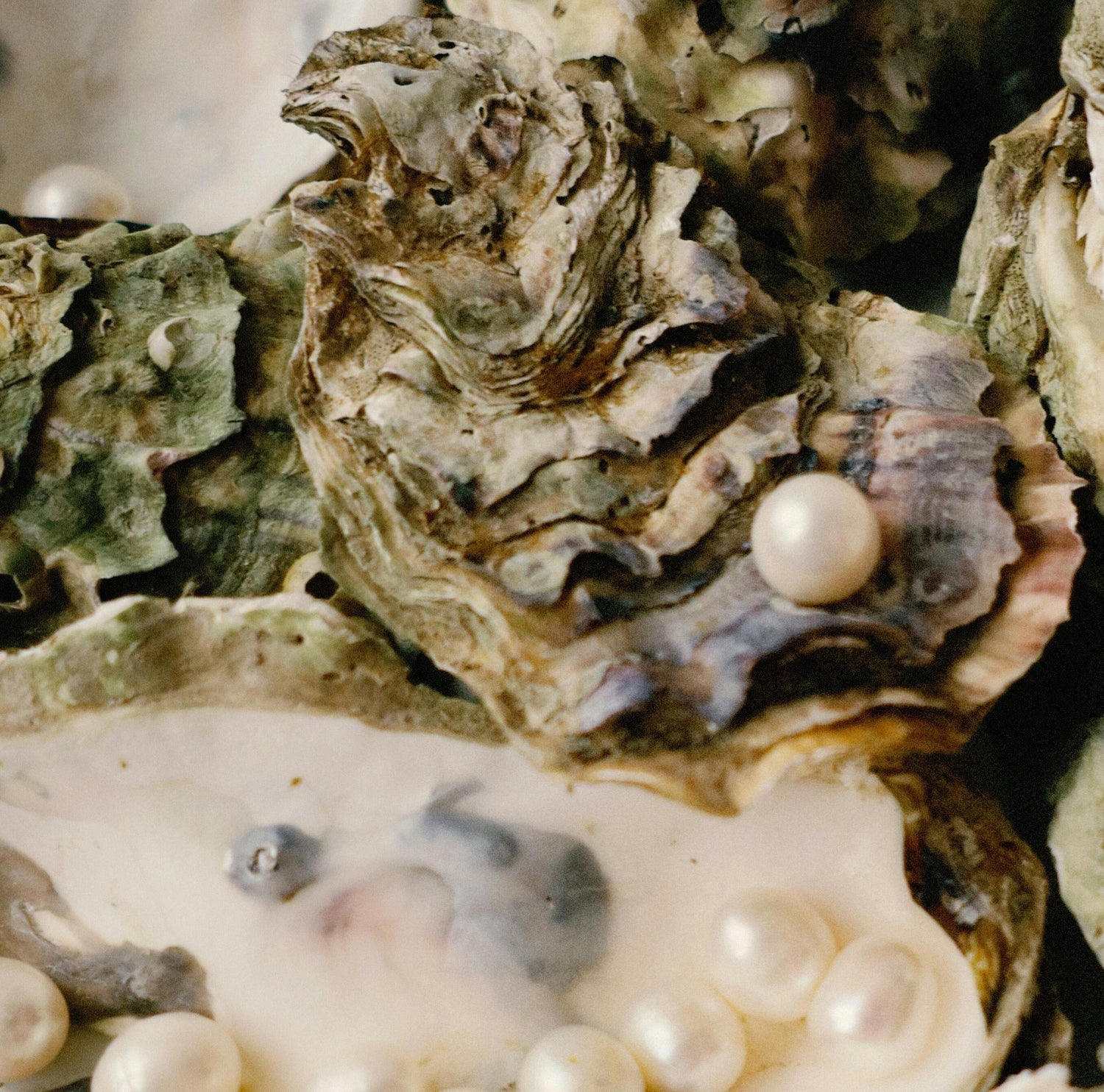 Collection Perles des Sables